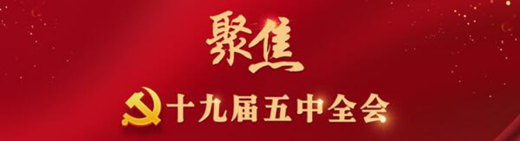 77体育平台图片