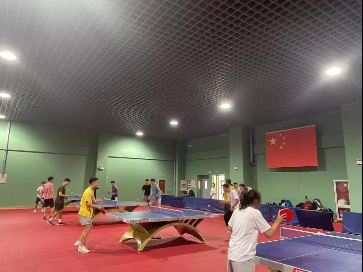 77体育报道图片