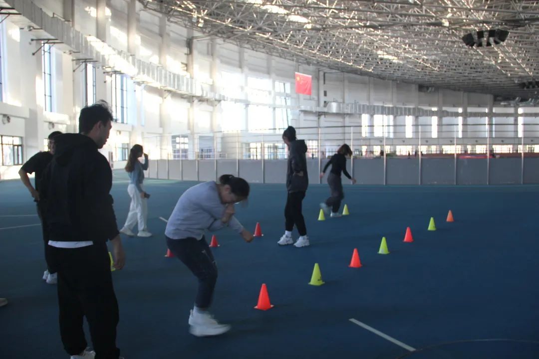 77体育平台图片