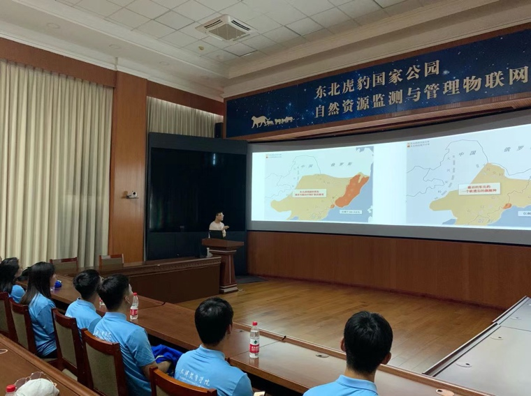 77体育官网图片