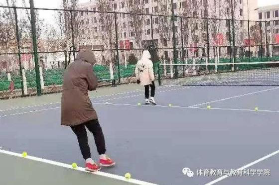 77体育杯赛图片