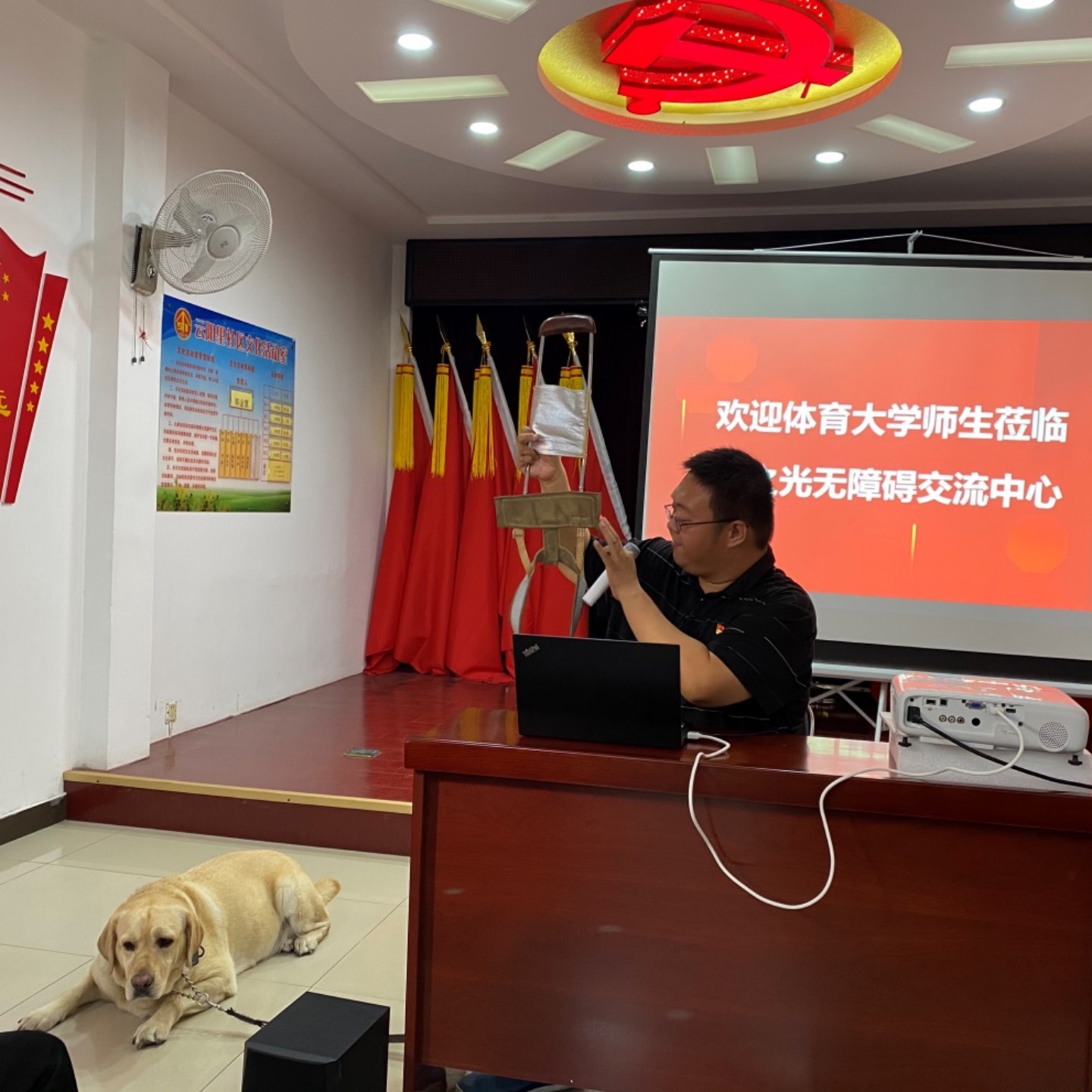 77体育经典图片