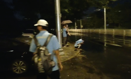77体育锦标图片