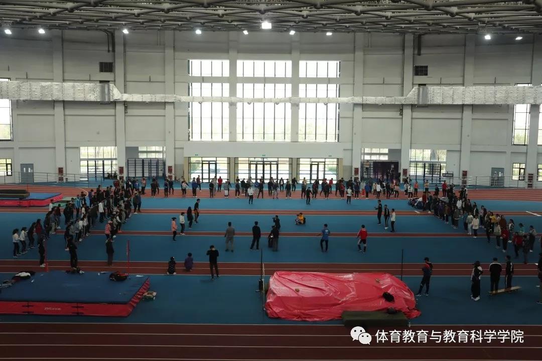 77体育平台图片