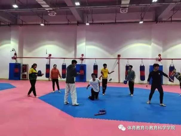 77体育平台图片