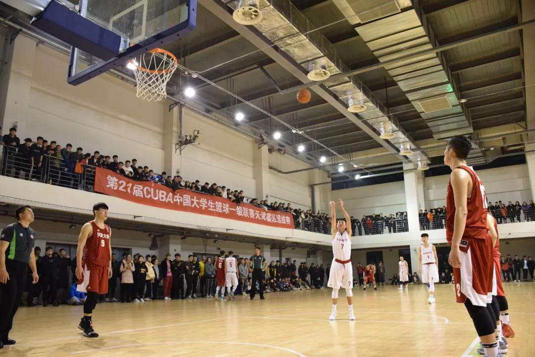 77体育平台图片