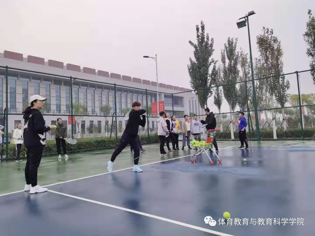 77体育官网图片