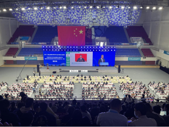77体育官网图片