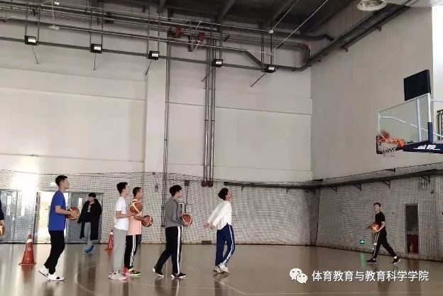 77体育风采图片