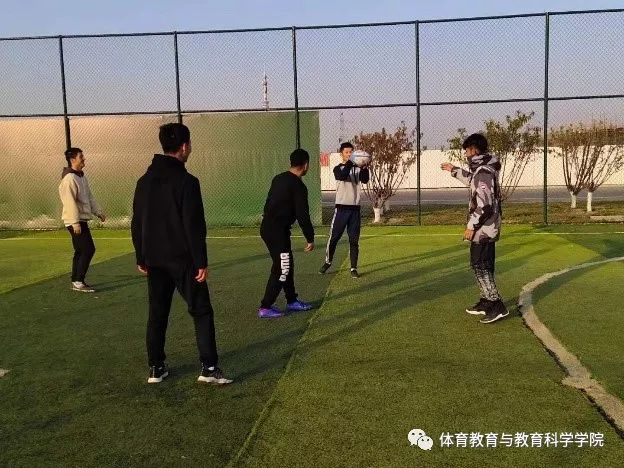 77体育官网图片