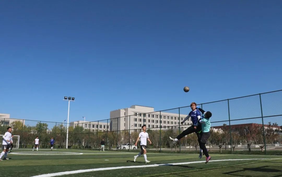77体育报道图片