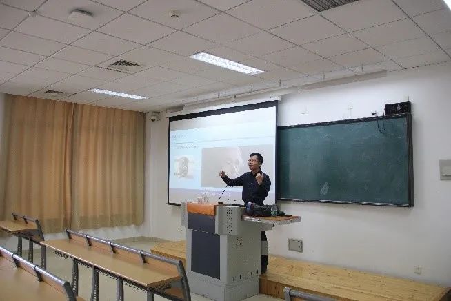 77体育官网图片